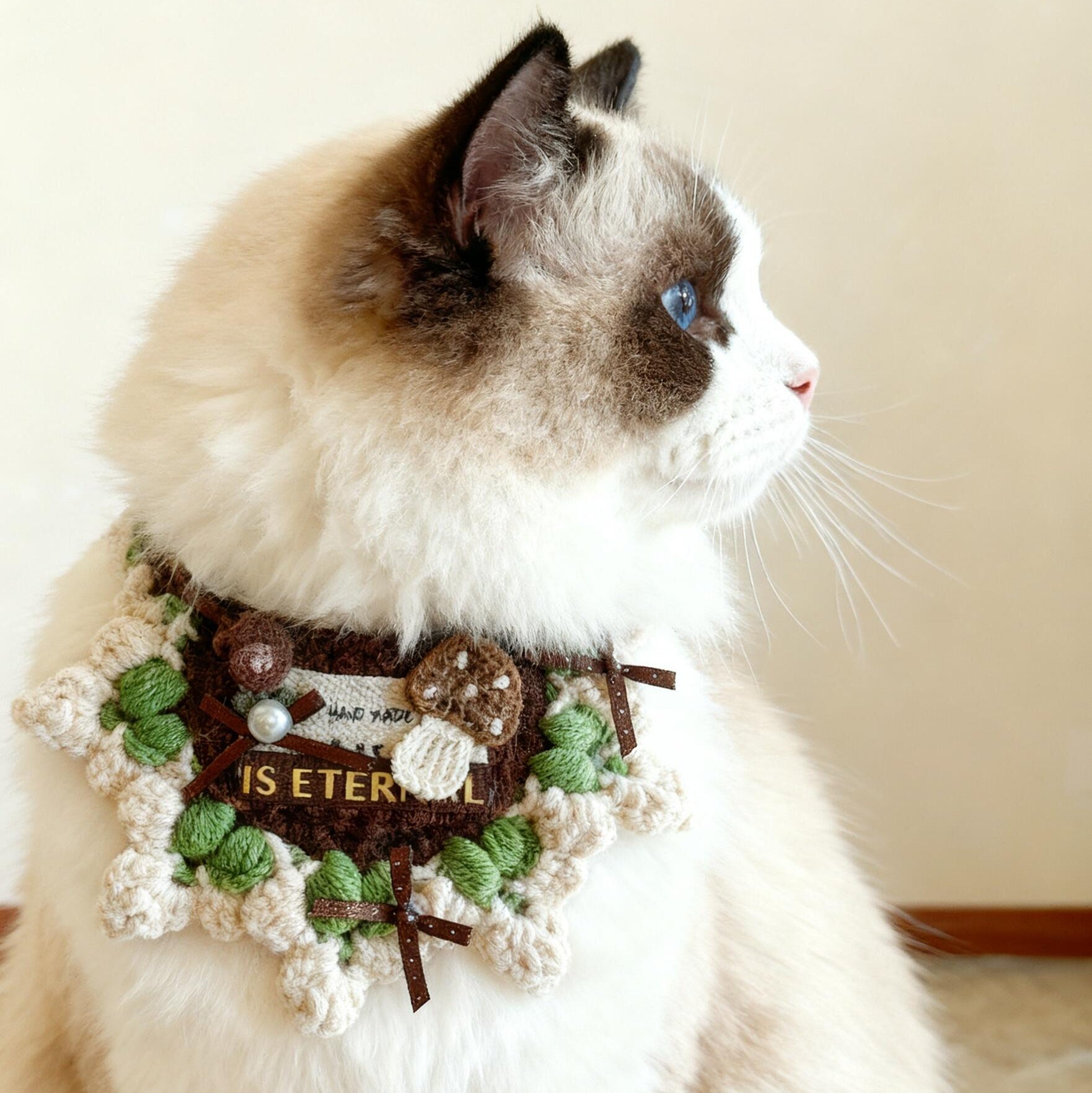 For Cats | Little Mushroom Guardian