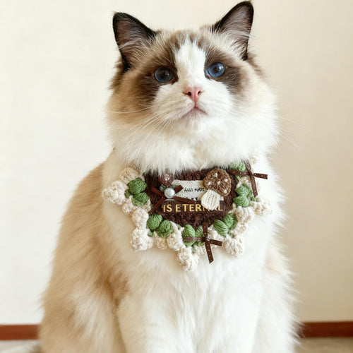 For Cats | Little Mushroom Guardian